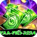7yaa Pro 2024