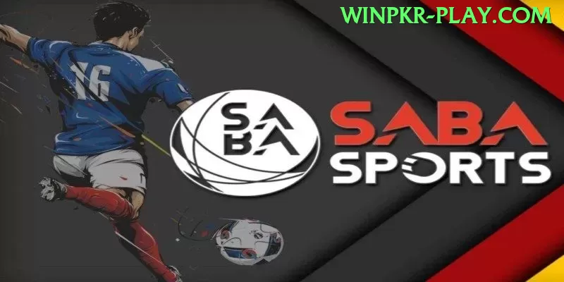 Guia Completo: c81 - Tudo Que Você Precisa Saber em 2024 - vip